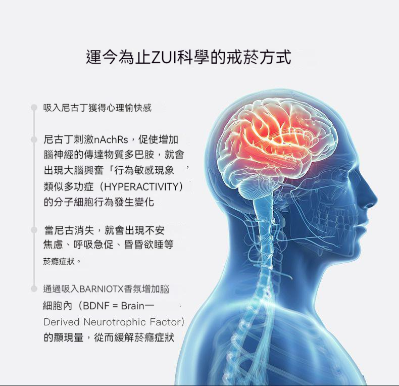 日本戒菸棒